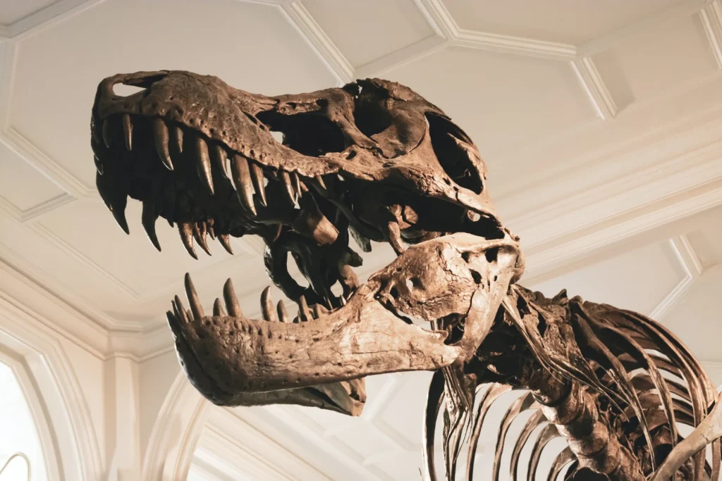What killed the dinosaurs? why are asteroids so dangerous?