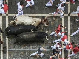 A speeding Miura bull run in Spain has left six injured