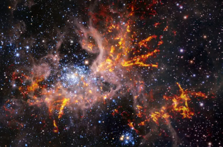 Black Hole sceptics discover a stellar-mass black hole Black Hole sceptics discover a stellar-mass black hole
