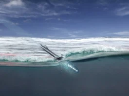 30 mm Vystrel swimmer dives into water using supercavitation