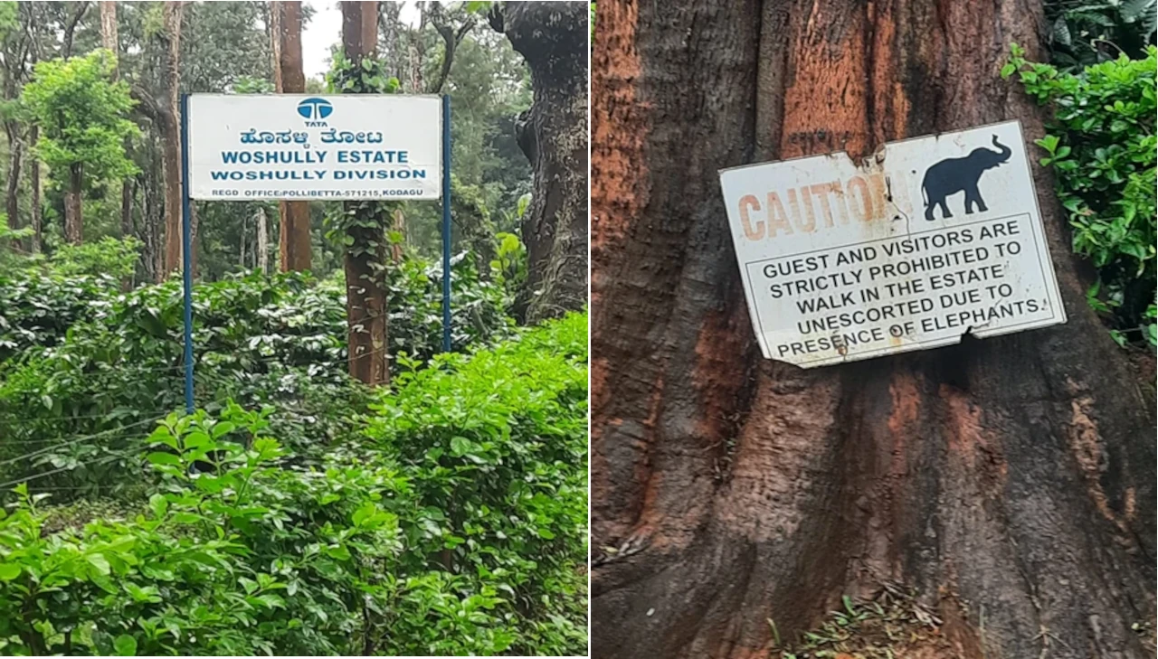 Woshully Estate & warning on presence of elephants