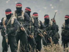 Tahrir al-Sham forces