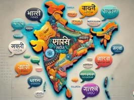 A conceptual illustration of India's linguistic diversity and divide