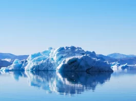 Ice Floating in ocean