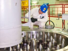 Nuclear Waste Fuel In BN-800 Reactor