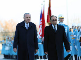 Turkish President Recep Tayyip Erdoğan with Malaysian Prime Minister Anwar Ibrahim