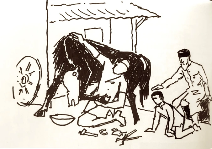 MF Husain Horse Sketch