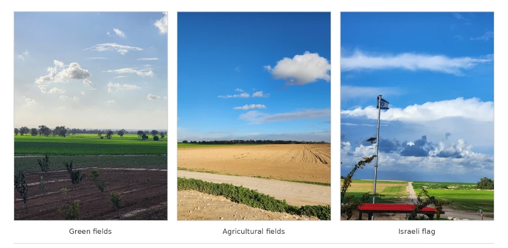 Fields and open countryside in Israel’s communities near Gaza. The Israeli flag beside the fields. Photographs supplied by the author.